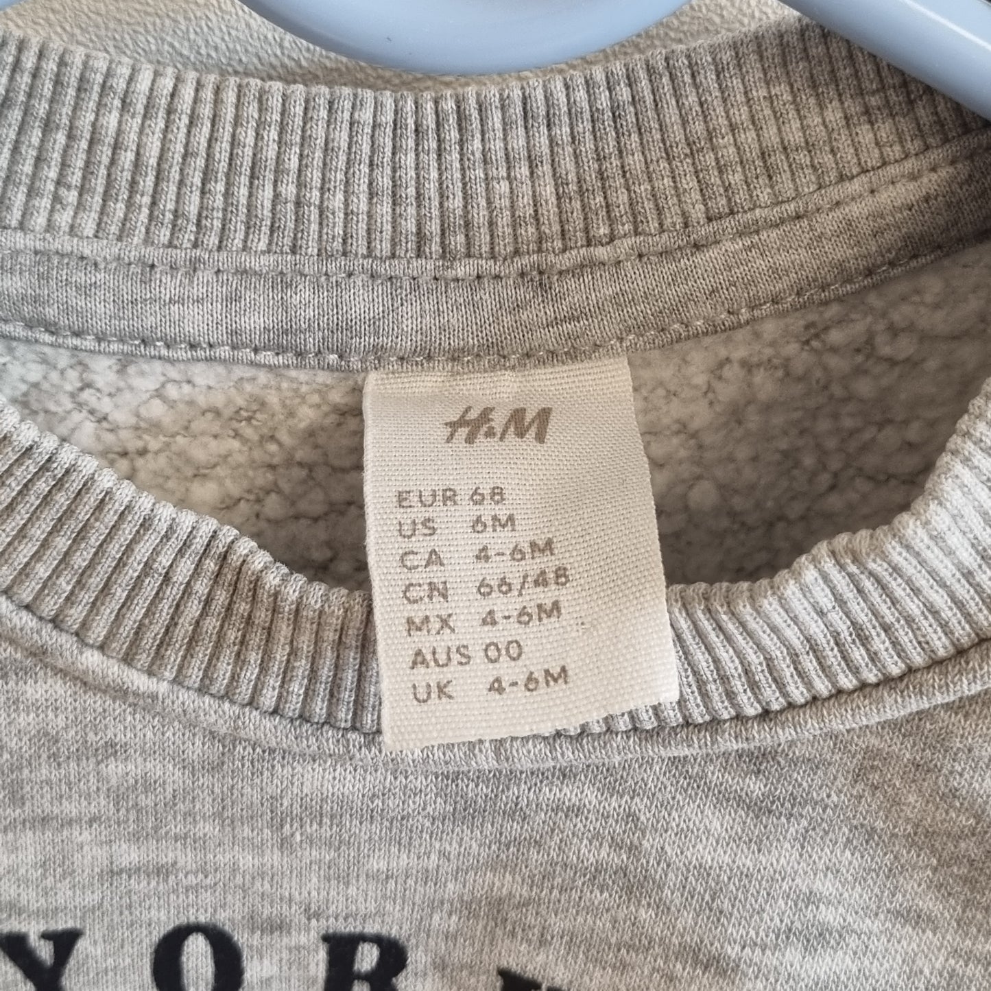 Grå genser med dinosaur / H&M - 68