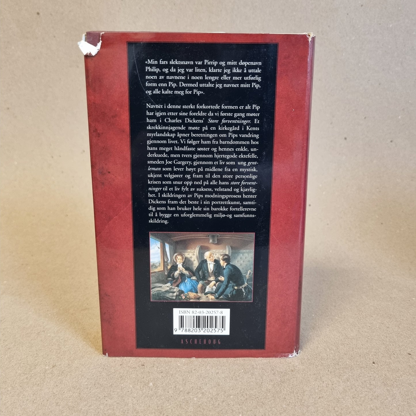 Store forventninger – Charles Dickens