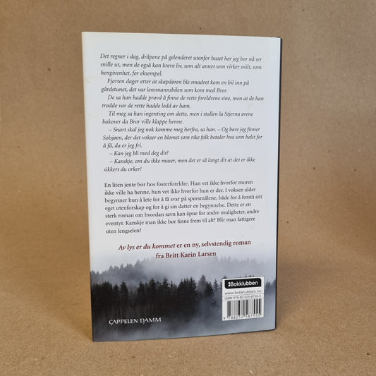 Av lys er du kommet – Britt Karin Larsen