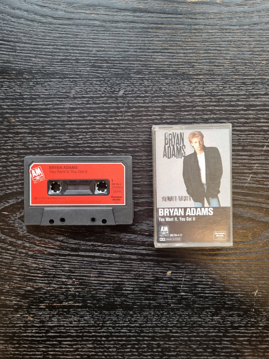 Bryan Adams - You Want It, You Got It