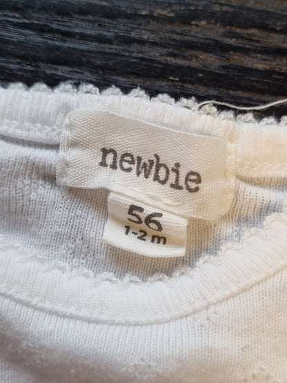 Newbie body