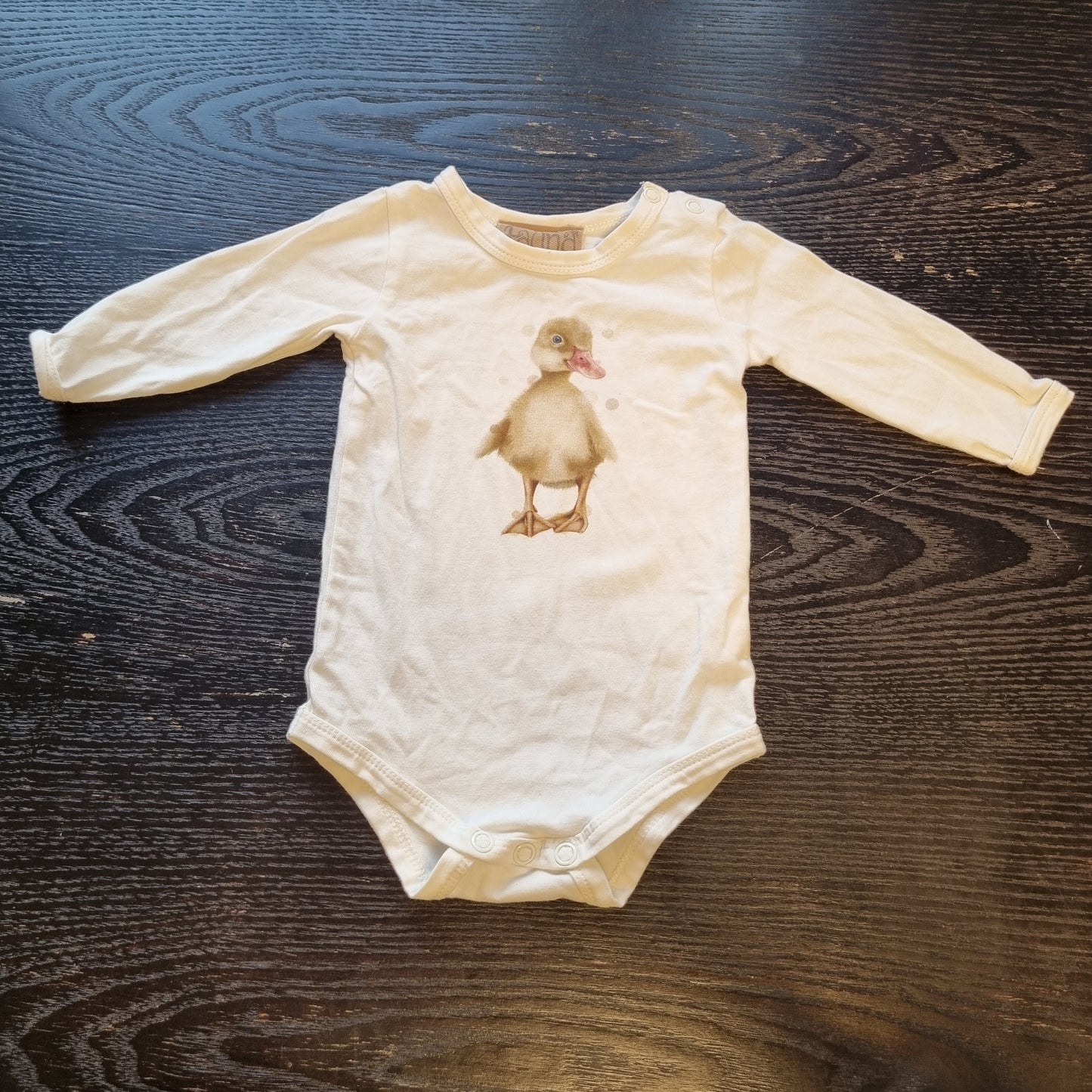 Body Fauna av Cecilie Sørgård