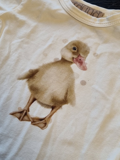 Body Fauna av Cecilie Sørgård