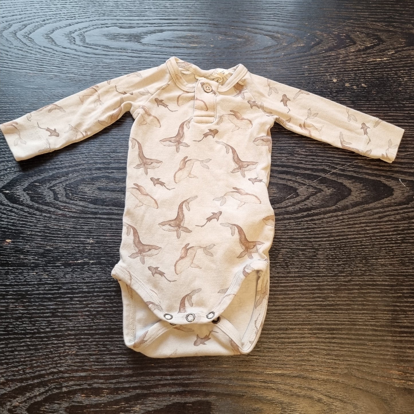 Lil' Atelier body
