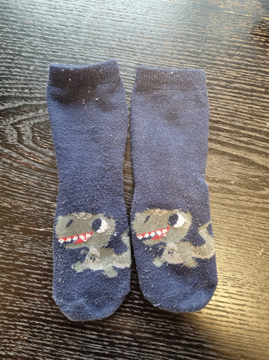 Dinosaursokker
