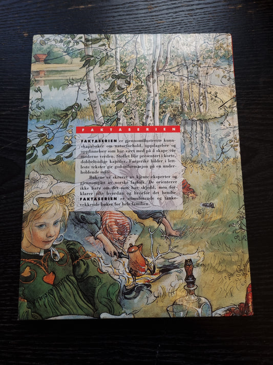 Vi leser, spiller og maler - Faktaserien 1992