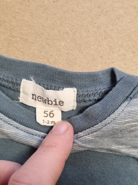 Newbie body - 56
