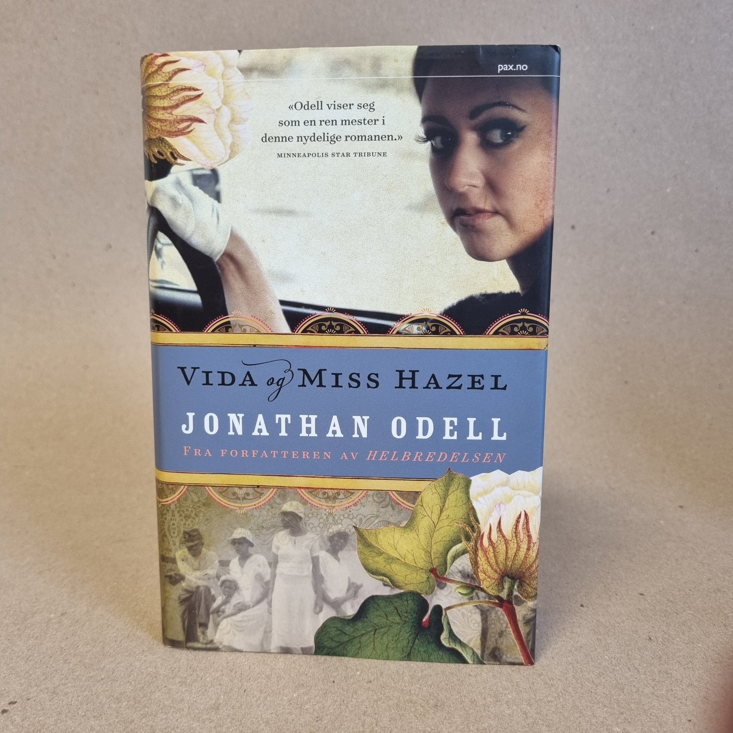 Vida og Miss Hazel - Jonathan Odell