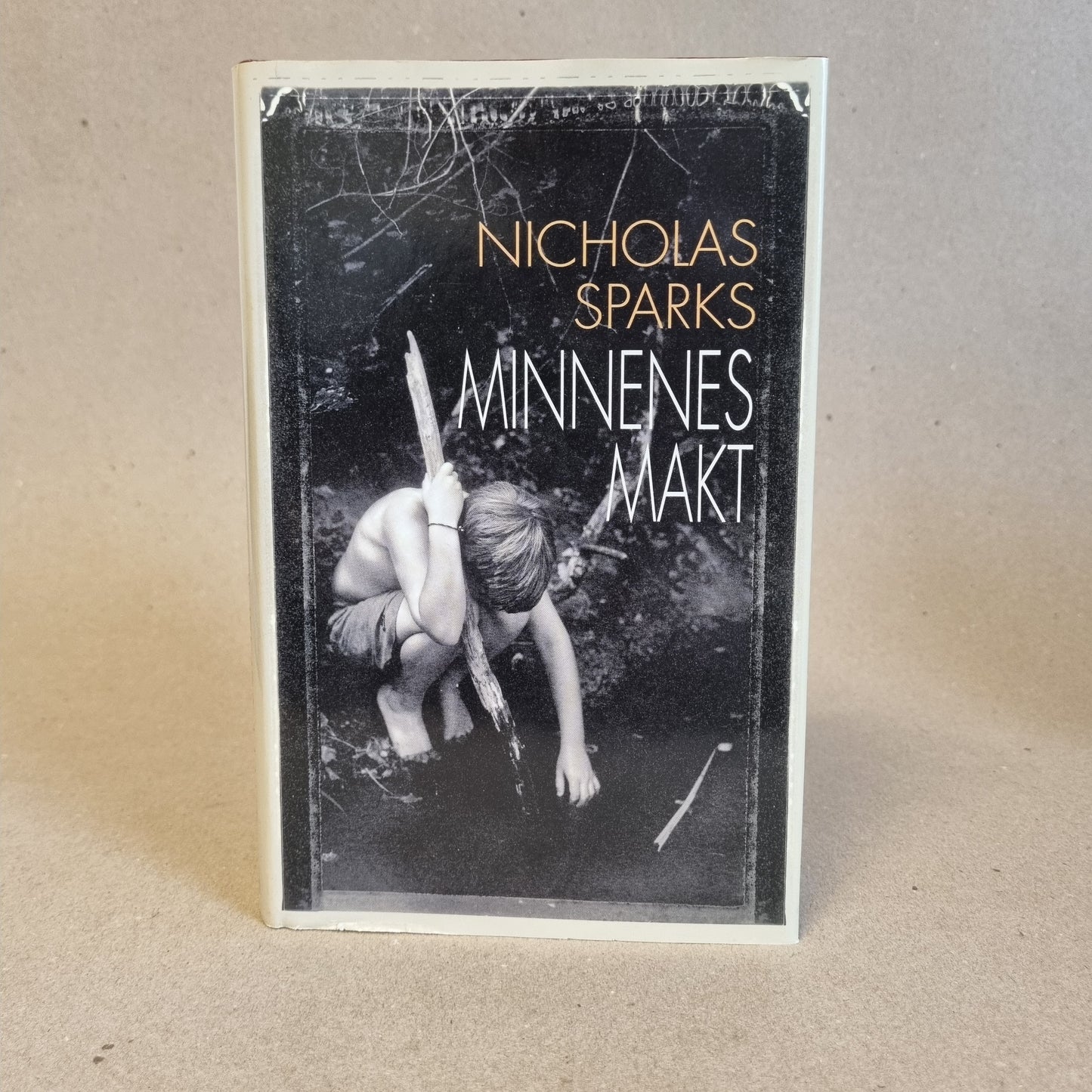 Minnenes makt – Nicholas Sparks