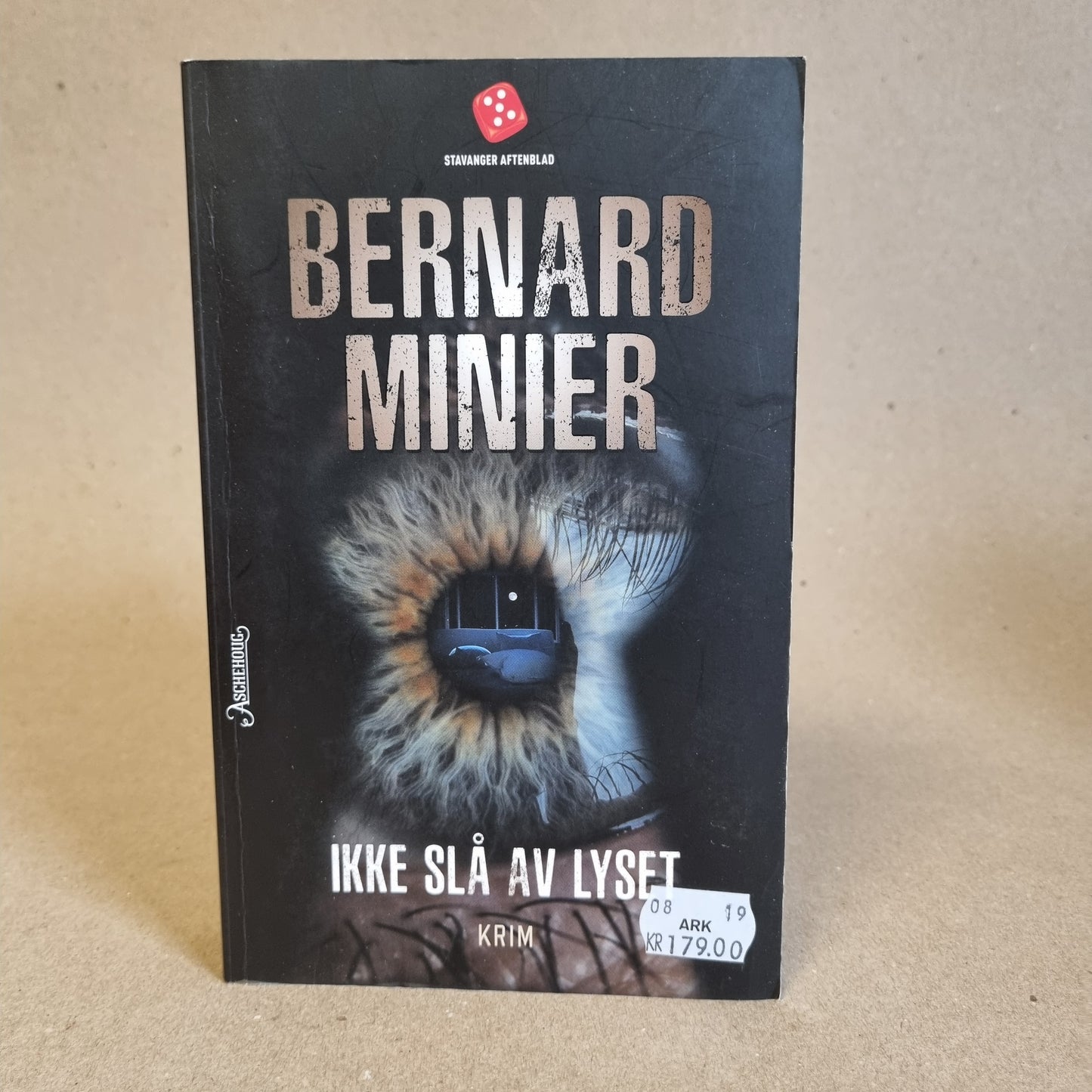 Ikke slå av lyset – Bernard Minier