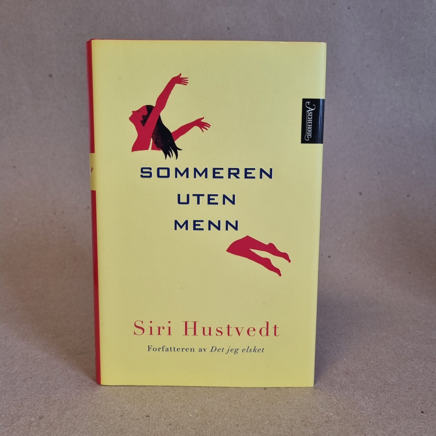 Sommeren uten menn – Siri Hustvedt