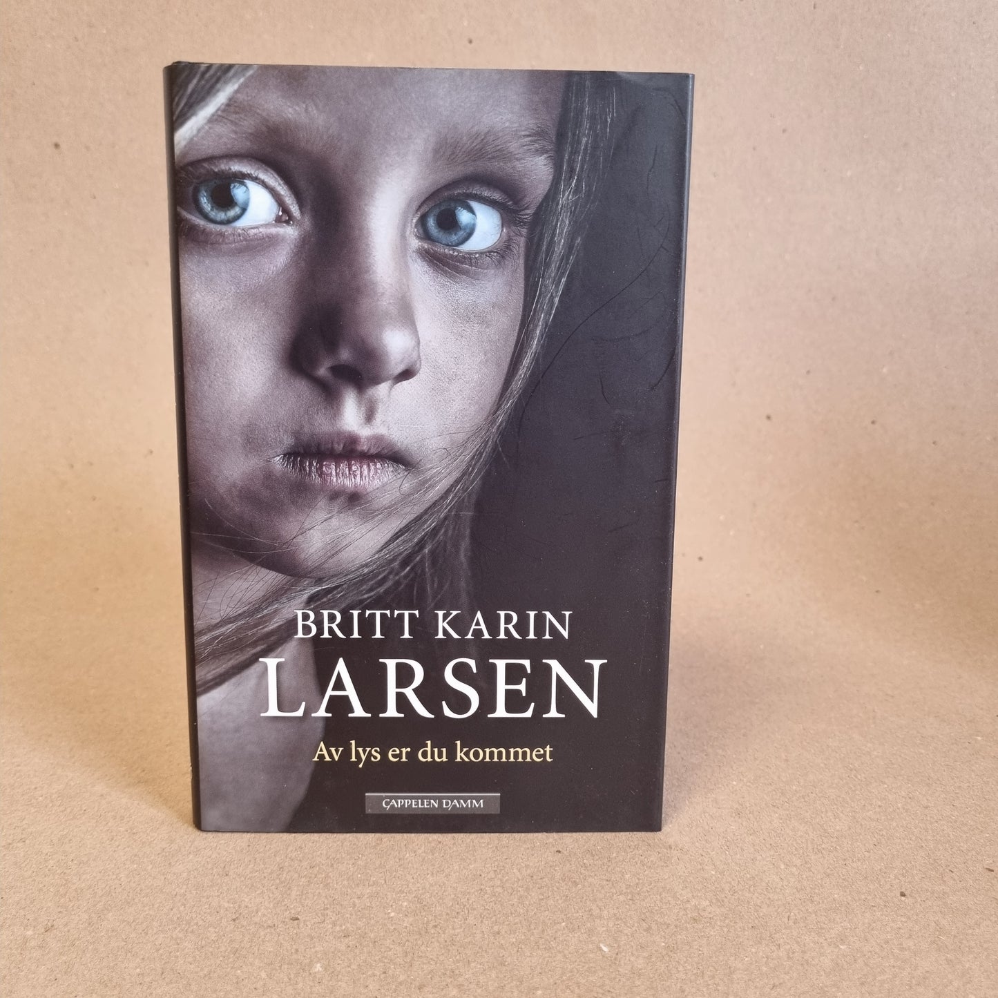 Av lys er du kommet – Britt Karin Larsen