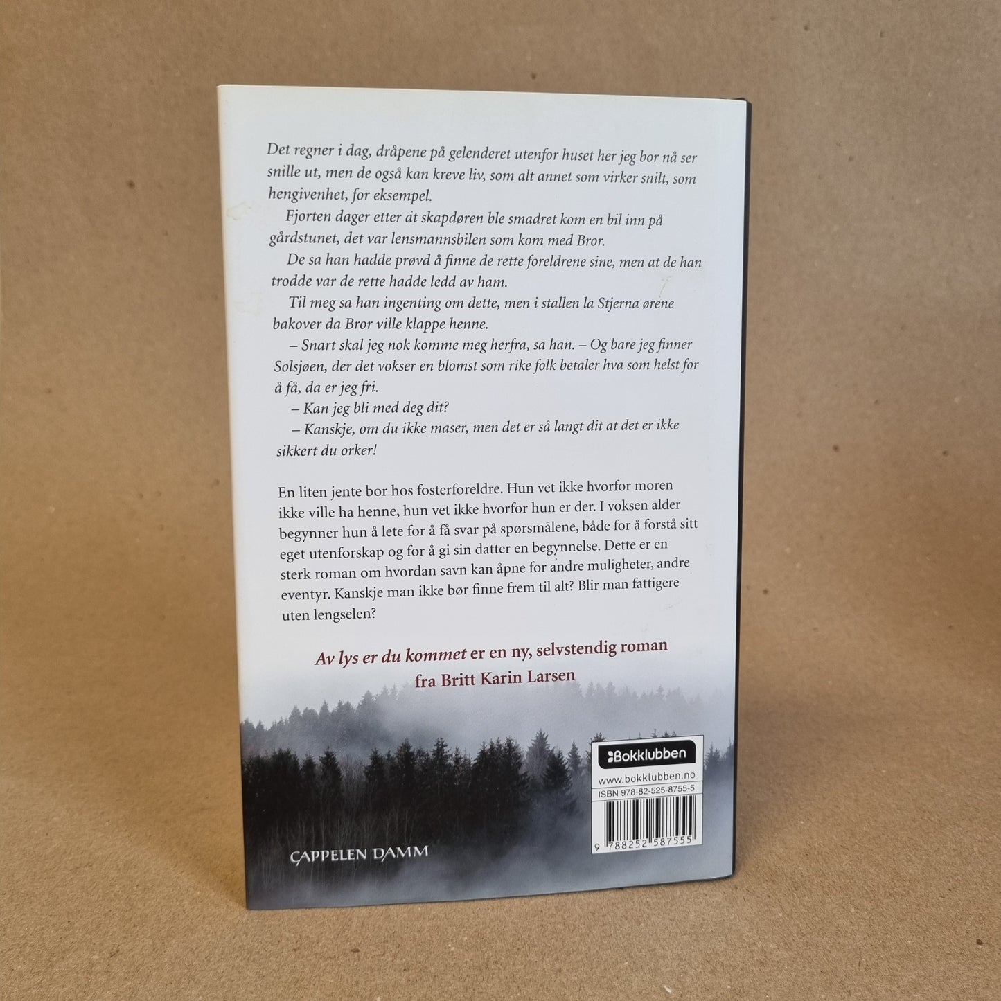 Av lys er du kommet – Britt Karin Larsen
