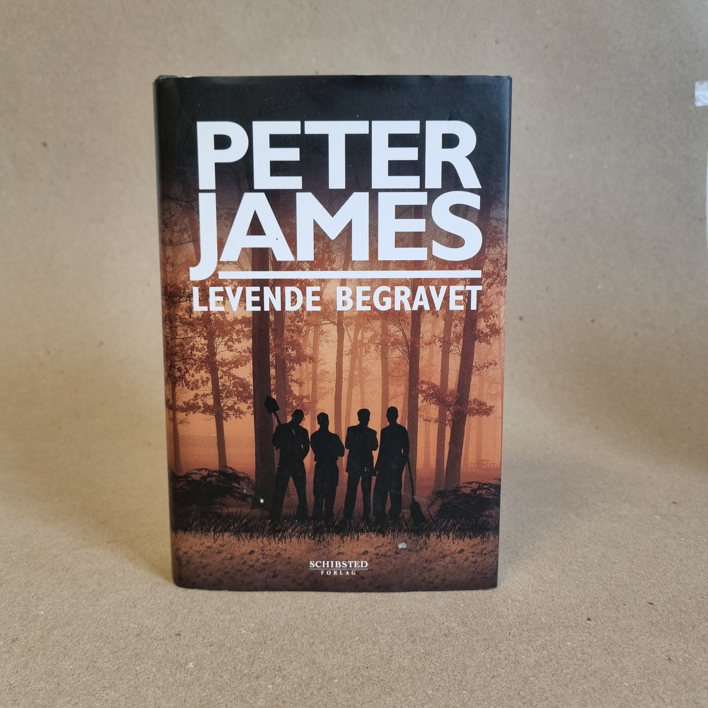 Levende begravet – Peter James