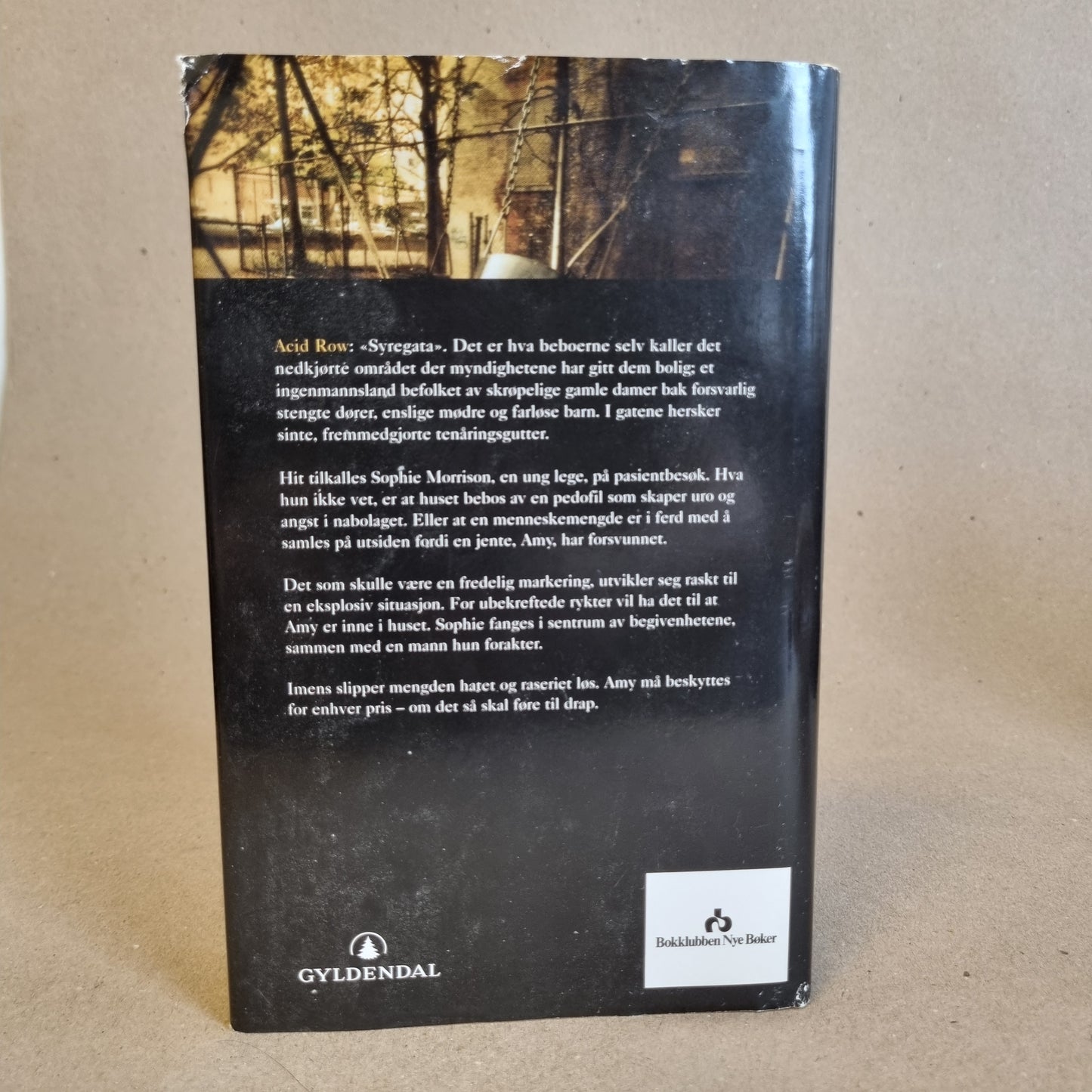 Acid Row – Minette Walters